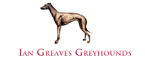 Ian Greaves Greyhounds Logo